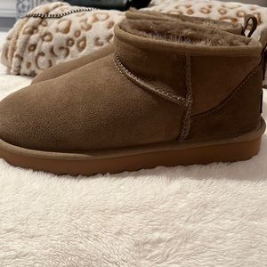 Ultra mini antilope Uggs